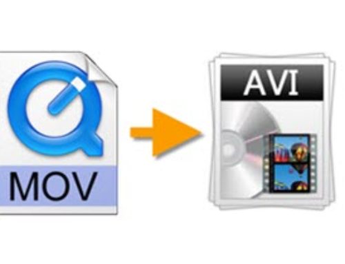Windows 11でMOVをAVI形式に簡単に変換する方法  2022